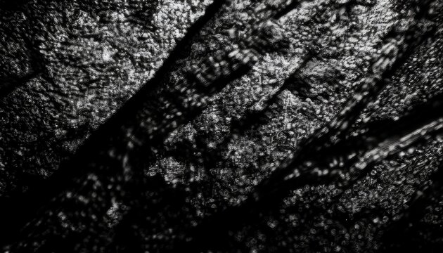 close-up of textured black feathers with shimmering highlights and layered patterns, ideal for dark-themed design, print texture, branding, or gothic web layout

 - Powered by Adobe