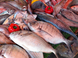 Essaouira fish market, Morocco