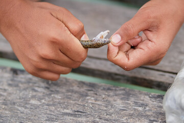 Close-up of a person's hands cleaning a small sea eel, focusing on the detailed preparation work.