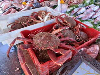 Essaouira fish market, Morocco