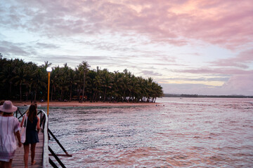Tropical Beach With Palm Trees and Sunset Over Calm Waters