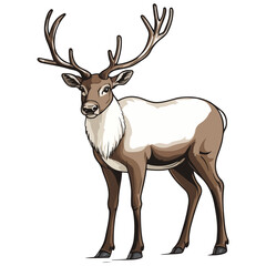 Obraz premium reindeer, animal, vector, transparent background, creature, rangifer tarandus, deer, mammal, antler, wildlife, nature, antlers, caribou, cute, forest, christmas, zoo