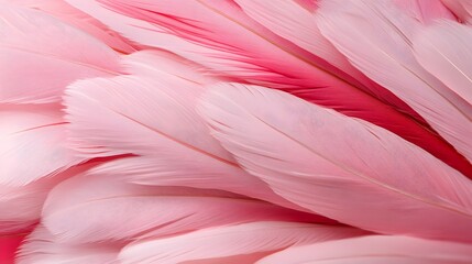 Naklejka premium Pink and Red Feathers Background Texture Soft Pastel Avian Plume