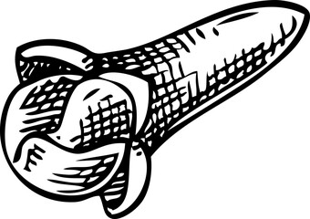 Cloves sketch. Hand-drawn spice illustration. Aromatic ingredients, perfumery, and organic cosmetics logo design. NOT AI generated