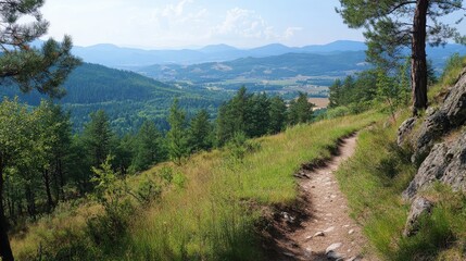 Serene Mountain Trail Path Leads Through Beautiful Forest Landscape