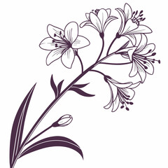 abstract floral background with sweet alyssums