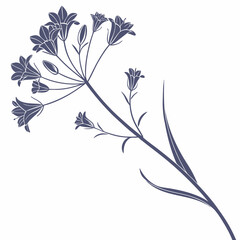 abstract floral background with baby’s breath