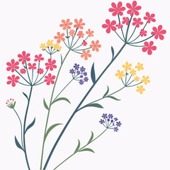 floral background with Baby’s Breath