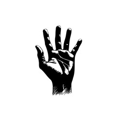 Graphic Hand Illustration: Black and White Artistic Rendering of Human Hand Gestures