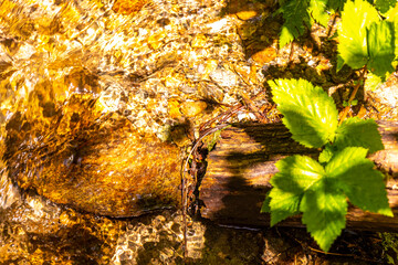 Clear water river steam waterfall with rocks nature in Austria.