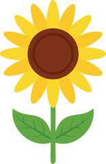 sunflower vector illustration