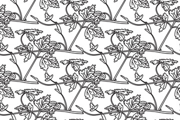 Fototapeta premium Line art seamless pattern with botanical grapevine vector illustration. Black outline repeating vine plant with long stem and leaves in white background. Graphic design for Birthday Fashion Cover Card
