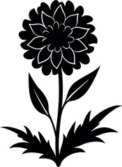Marigold Flower Silhouette