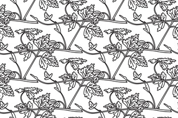 Line art seamless pattern with botanical grapevine vector illustration. Black outline repeating...
