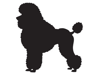 POODLE DOG SILHOUETTE