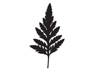 POPPY LEAF SILHOUETTE