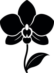 Black Orchid Flower Silhouette