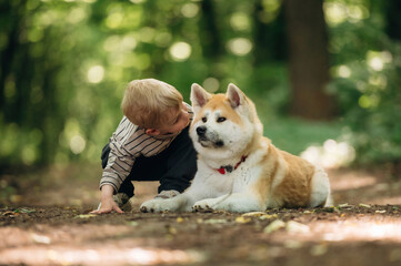 Together, sitting on the ground. Little boy is with Shiba Inu dog in the forest