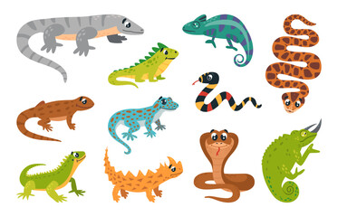 Cartoon amphibians reptiles. Exotic jungle animals, iguana snake lizards. Salamander and cobra, isolated venomous reptile, classy vector set