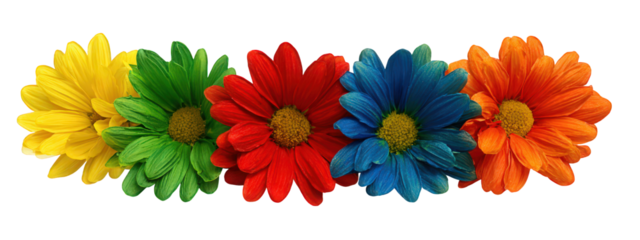 Colorful daisy flowers in yellow, green, red, blue, and orange arranged in row with vibrant petals and detailed centers, isolated on transparent background