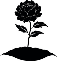 Black and White Peony Flower Silhouette