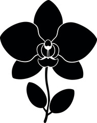 Black Orchid Flower Silhouette