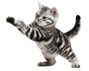Playful silver tabby kitten with black stripes is stretching its front paw forward, showing lively and curious behavior in dynamic pose