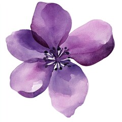 Purple flower watercolor petals design.