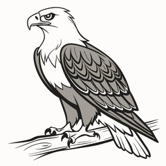 Majestic bald eagle perched on a branch wildlife bird of prey