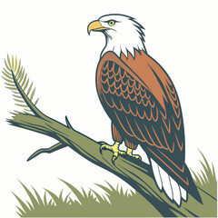 Majestic bald eagle perched on a branch overlooking grassy landscape