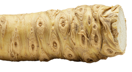 Detailed Closeup of a Horseradish Root Showing Intricate Texture and Pale Beige Hues