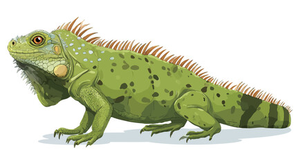 Obraz premium A digital illustration of a green iguana is shown in profile view against a white background. The iguana is depicted in detail, showcasing its vibrant green scales, prominent dewlap, and textured