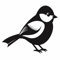 black and white bird