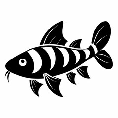 fish on a white background