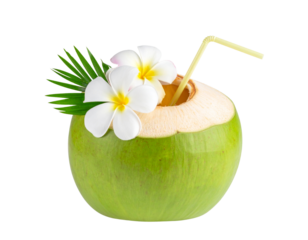  Fresh Young Coconut Drink with Straw and Flowers PNG