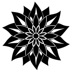 black and white flower
