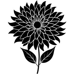 black and white flower