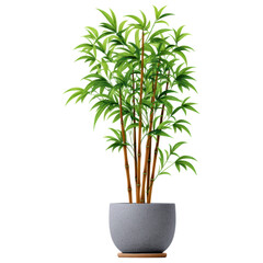 Fototapeta premium Decorative plants in modern gray pot bring natural beauty and fresh green leaves to any indoor space creating calming and vibrant atmosphere