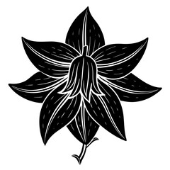 black and white flower