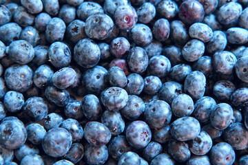 Fresh Blueberries Background. Piled Blueberry Spinning Backdrop. Sweetest Delight. Vibrant closeup of plump ripe blue berries are healthy recipes, snacks. Full frame. Ideal for food, health, nature
