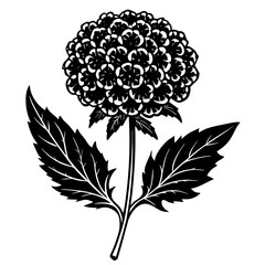 black and white flowers