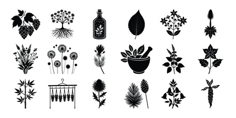Botanical Healing Silhouettes: Lavender, Rosemary, Turmeric, Tulsi & Herbal Plants Set