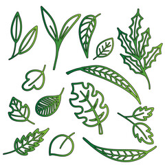 Green Leaf Collection Outlines and Foliage Elements