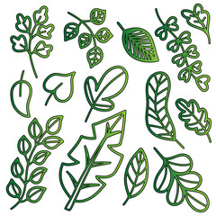Collection of Green Leaf Vector Outlines