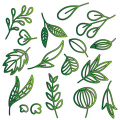 Collection of green leaves and botanical elements