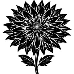 black and white flower