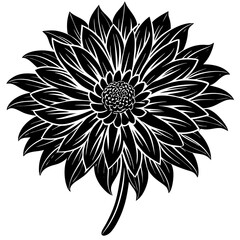 black and white flower