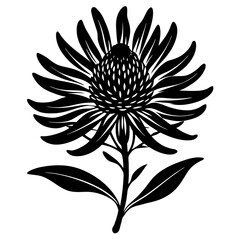 black and white flower vector