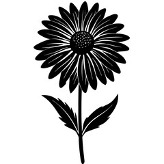 black and white flower