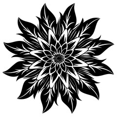 black and white flower